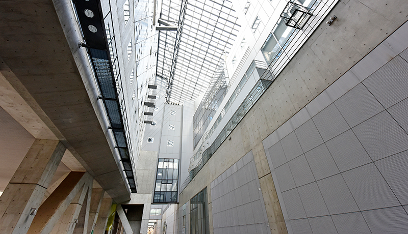 现金买球会员登录 そうじゃないと誰が言った？ヤンソンの心は感情に共鳴した